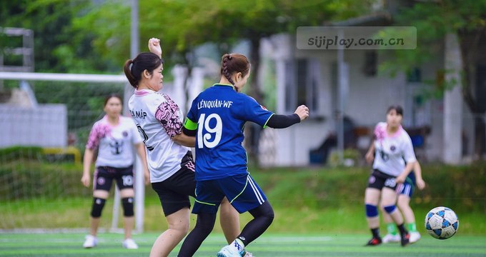 AI趋势雷达图 动态数据可视化